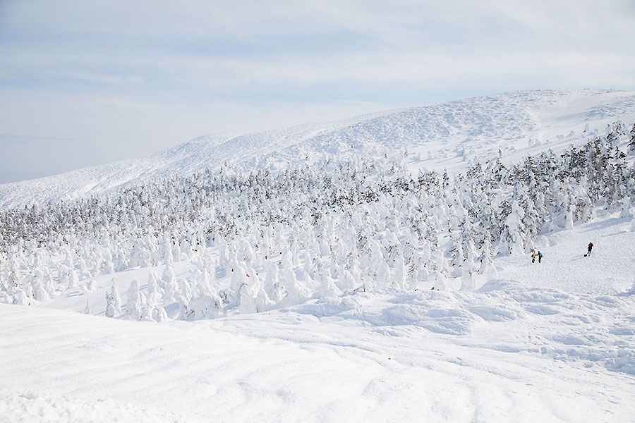 冬の蔵王の風景